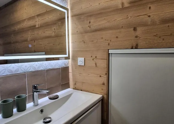 公寓 Zodiac - Confort De 25m² Au Pied Des Pistes Mae-3954 拉普拉涅